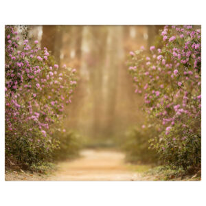 Fundo Fotográfico Dia das Mães