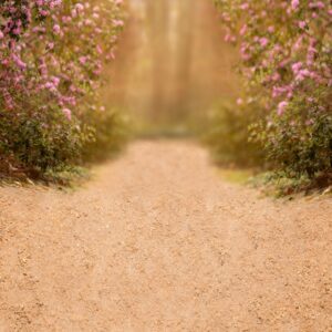 Fundo Fotográfico Dia das Mães