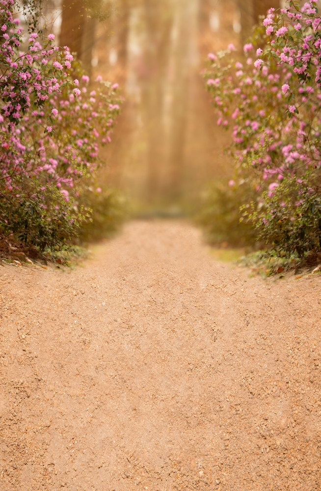 Fundo Fotográfico Dia das Mães